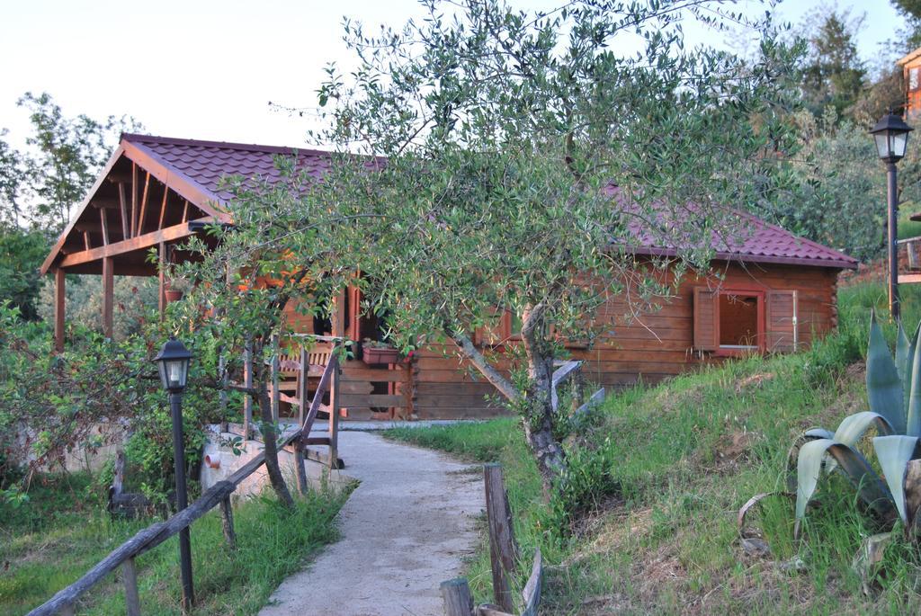 Agriturismo Cisogna Villa Anagni Exterior photo